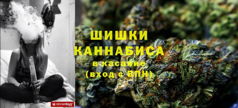 Каннабис OG Kush  Куртамыш 